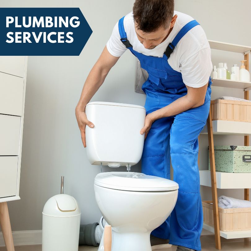 Plumbing Company in Bridgman, MI